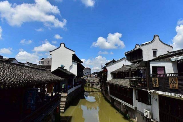 僵尸跳跳跳